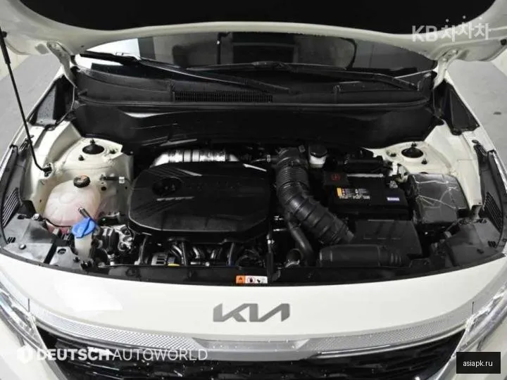 Kia Seltos 6