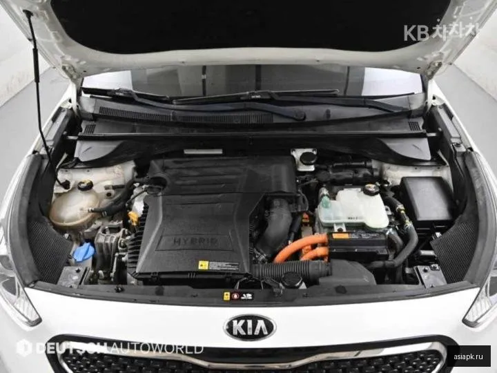 Kia Niro 6