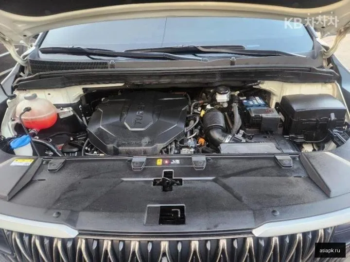 Kia Carnival 6