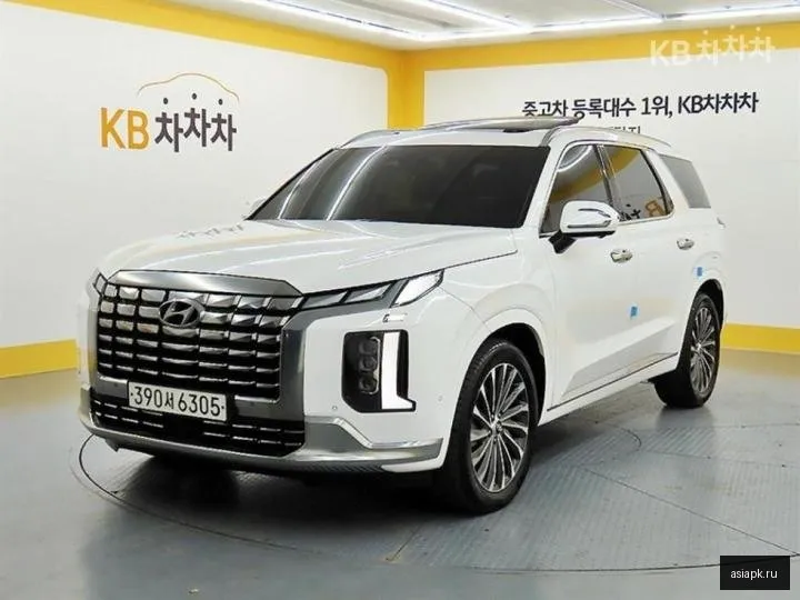 Hyundai Palisade 2