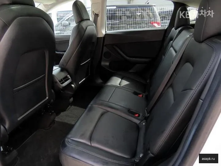 tesla Model Y 6