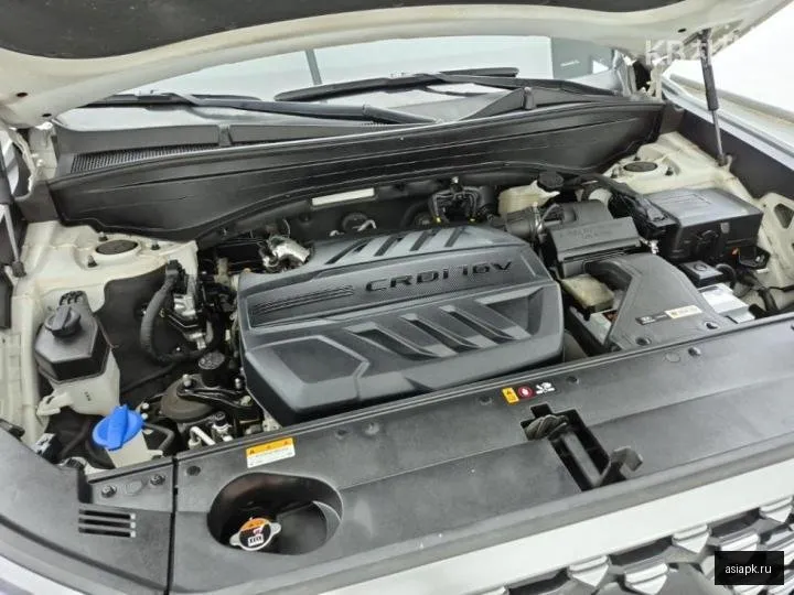 Hyundai Palisade 6