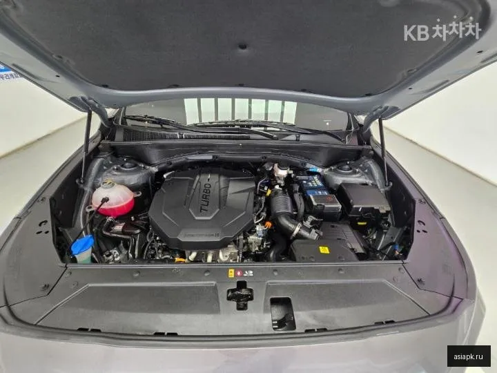 Hyundai Santa Fe 6
