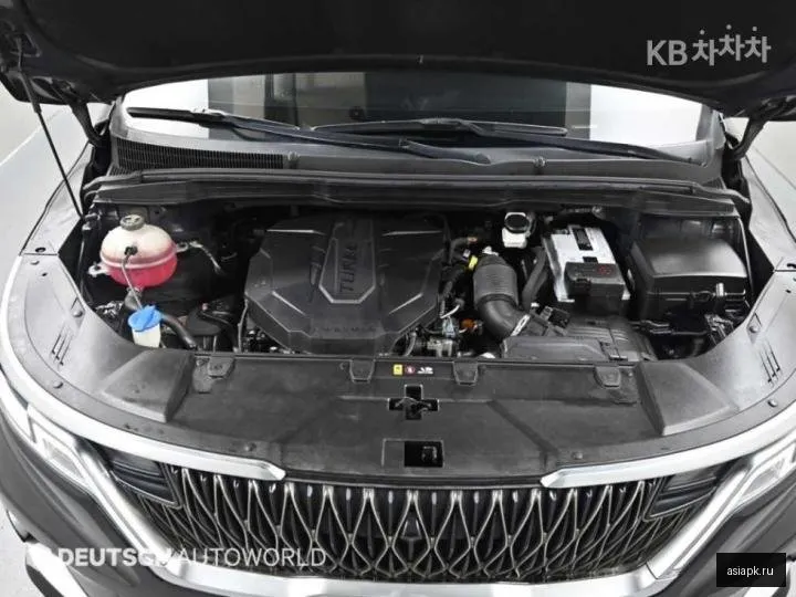 Kia Carnival 6