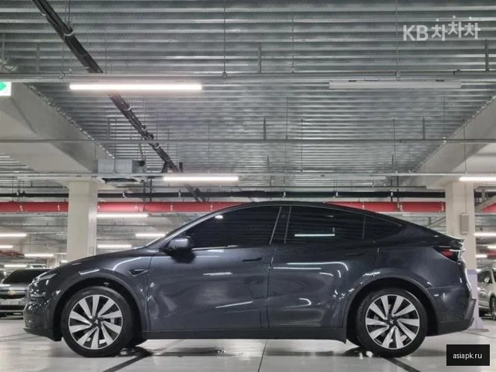 tesla Model Y 5