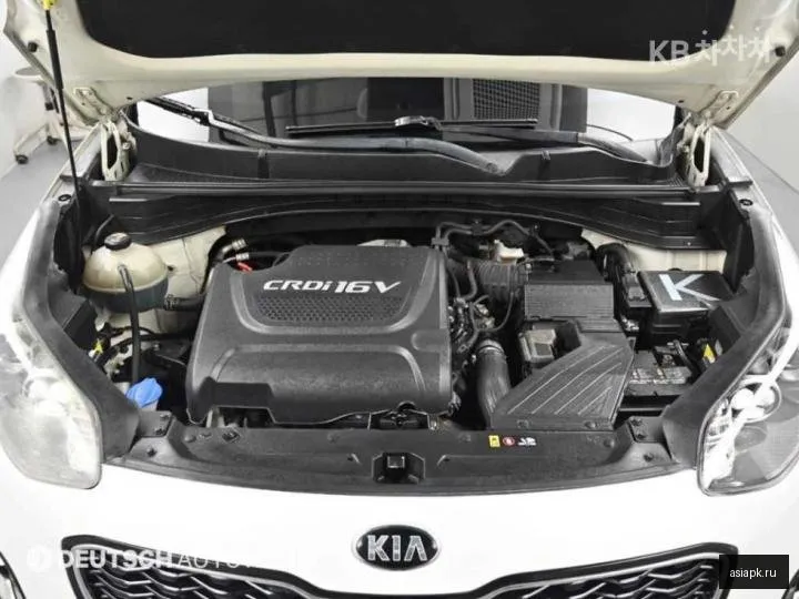 Kia Sportage 6