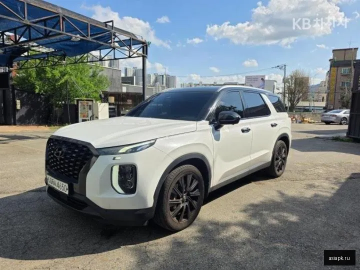 Hyundai Palisade 3