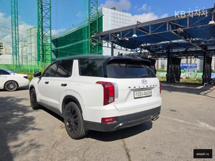 Hyundai Palisade 6