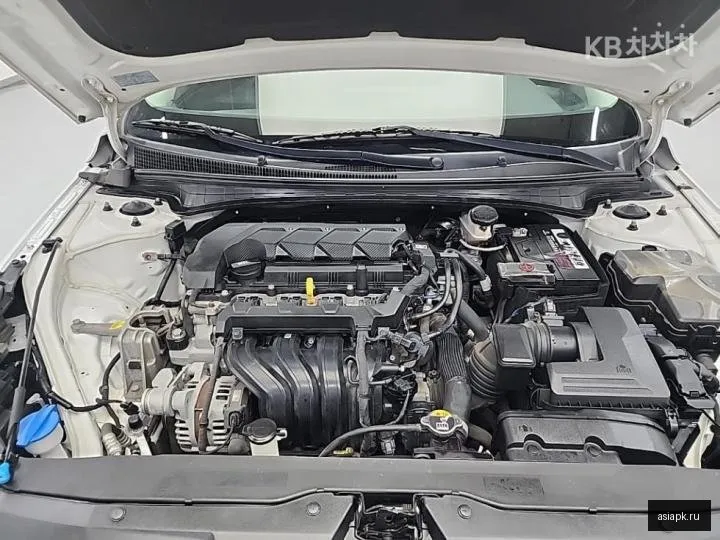 Hyundai Avante 5
