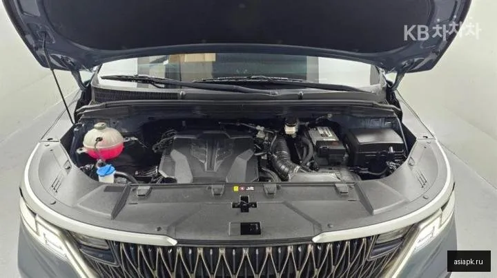 Kia Carnival 6