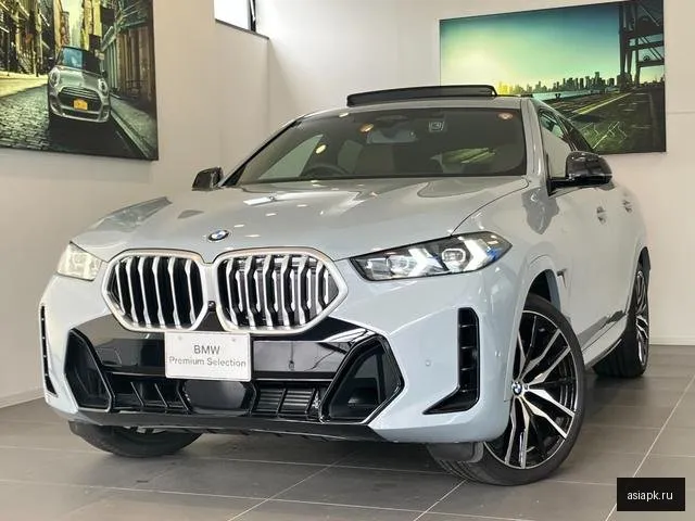 BMW X6