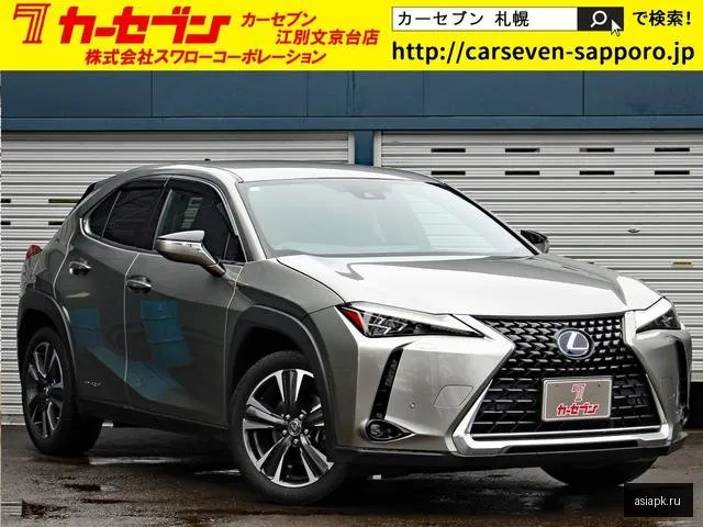 Lexus UX200