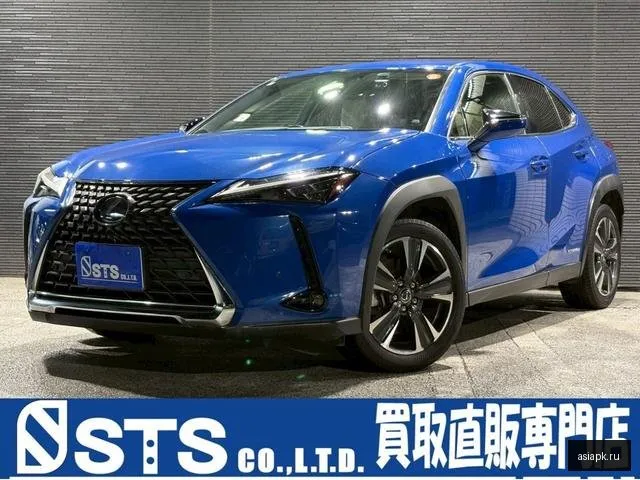 Lexus UX250h