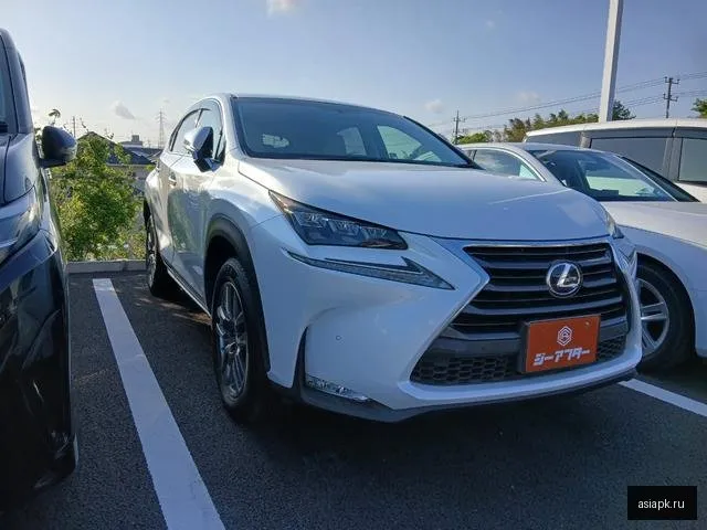 Lexus NX300h