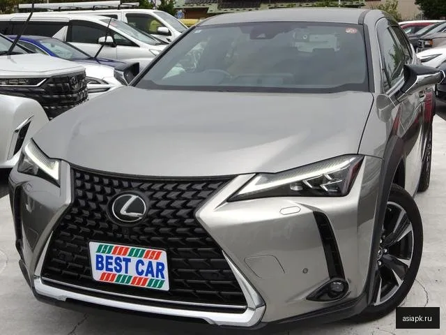 Lexus UX200