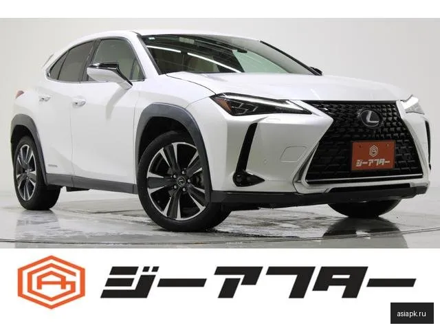 Lexus UX200