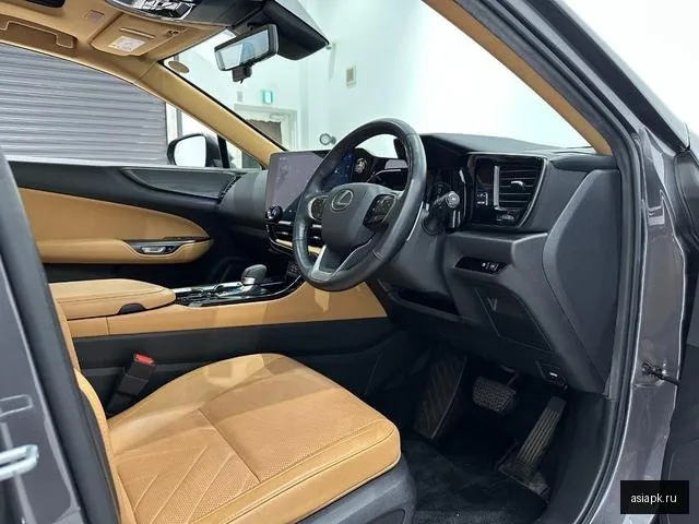 Lexus NX250 3