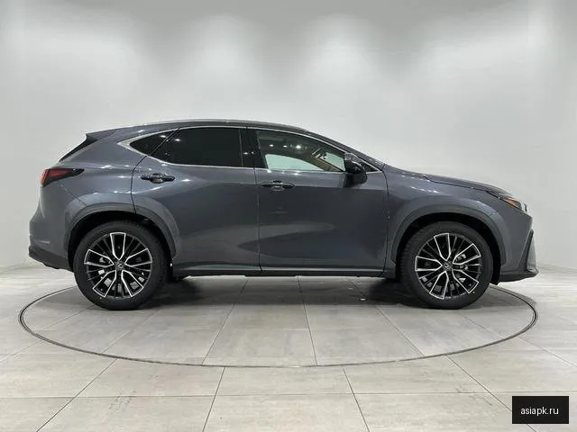Lexus NX250 6
