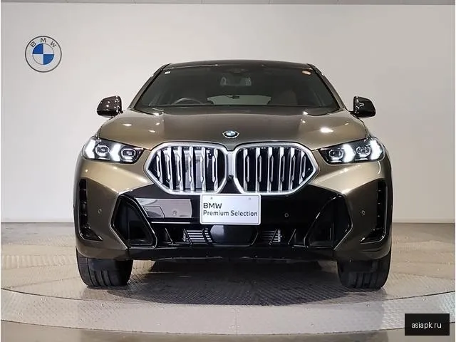 BMW X6 6