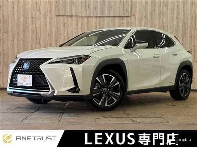 Lexus UX250h