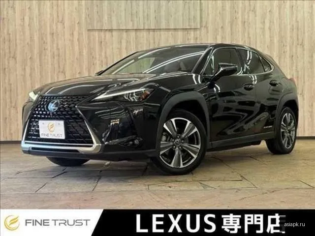 Lexus UX200