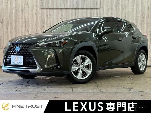 Lexus UX250h