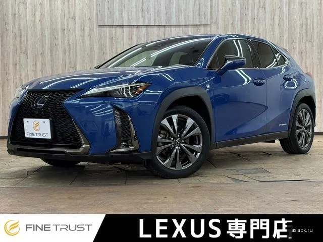 Lexus UX250h