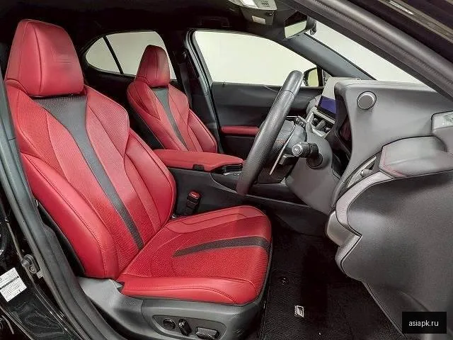 Lexus UX250h 6