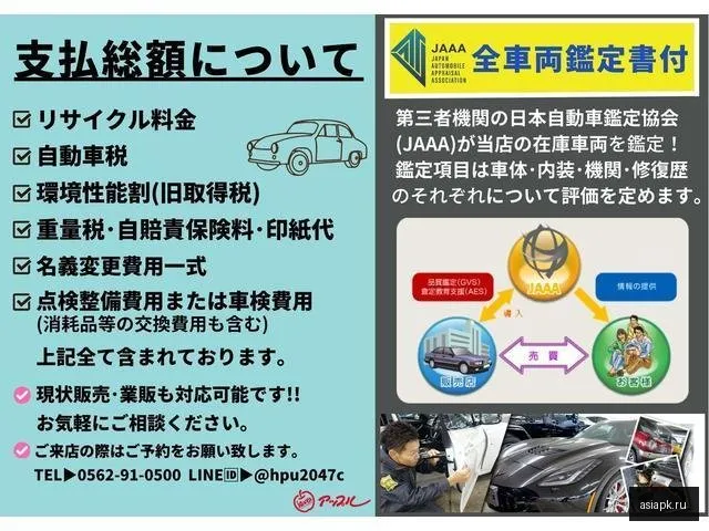 Toyota Spade 3