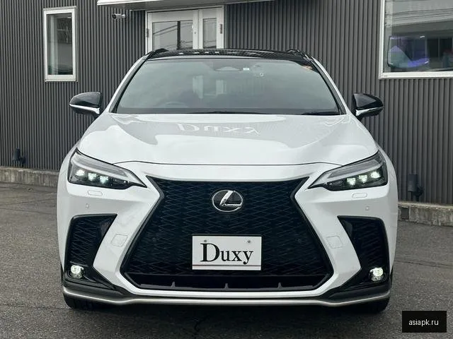 Lexus NX350h 6