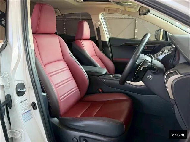 Lexus NX300h 6