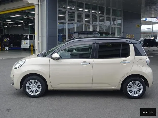 Toyota Passo 6