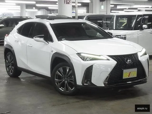 Lexus UX250h 6