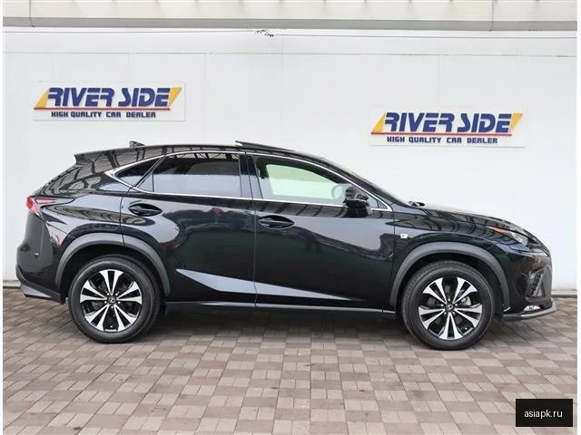 Lexus NX200 6
