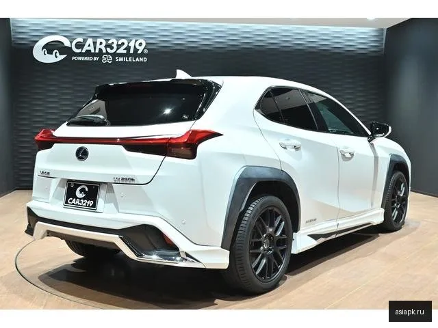 Lexus UX250h 4