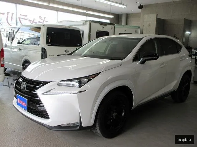 Lexus NX200 6