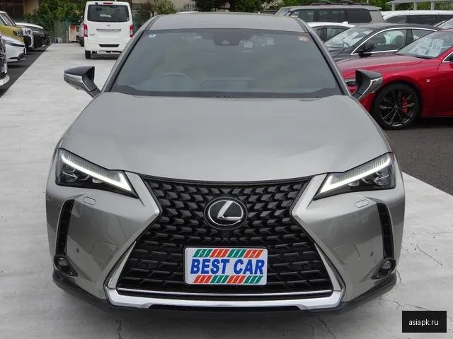 Lexus UX200 6