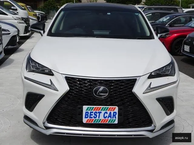 Lexus NX300h 6