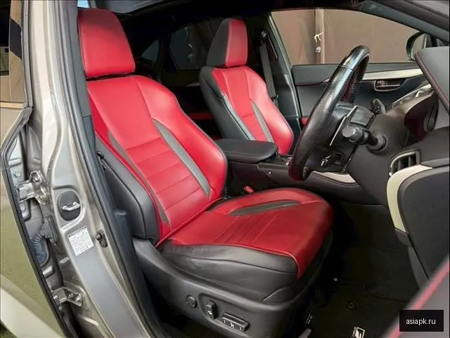 Lexus NX300h 6