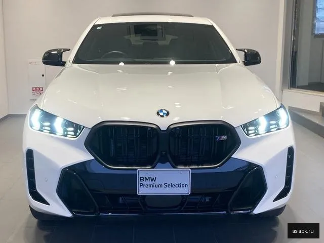 BMW X6 6