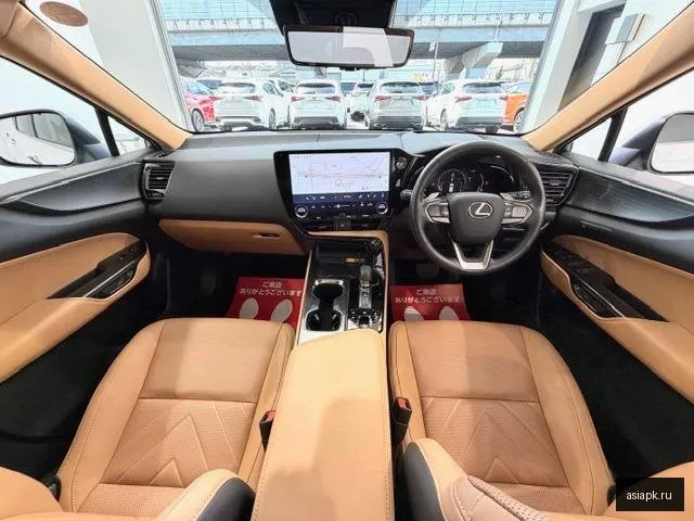 Lexus NX250 3