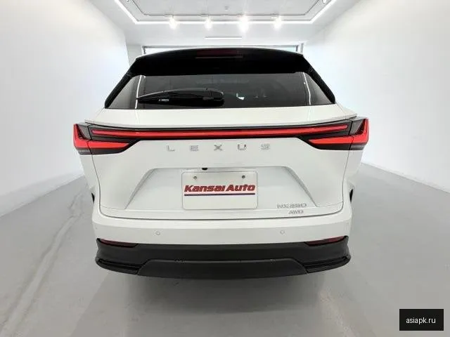 Lexus NX250 4