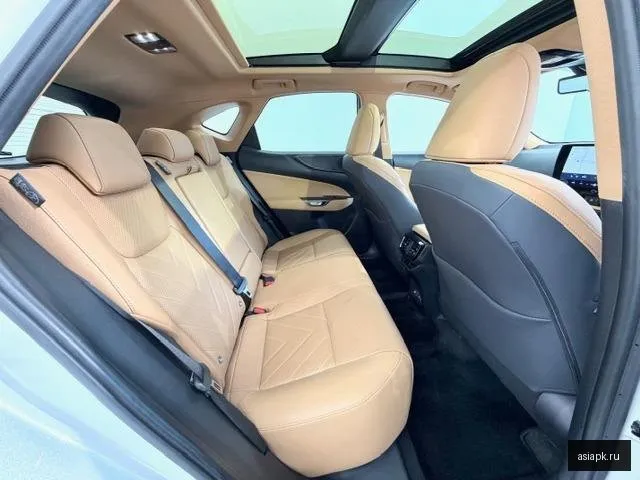Lexus NX250 6