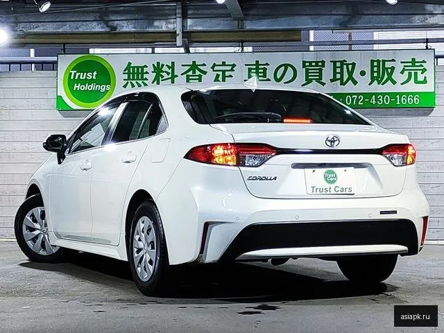 Toyota Corolla 6