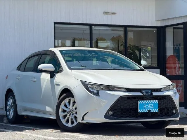 Toyota Corolla 6