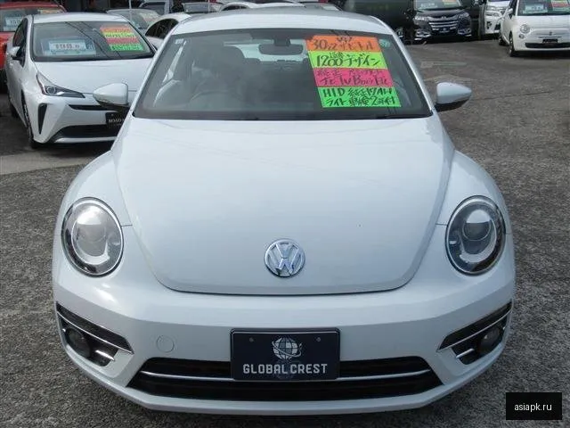 Volkswagen Beetle 4