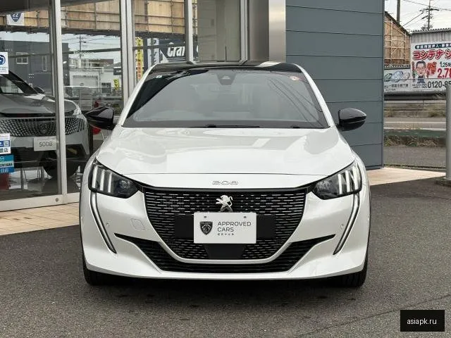 Peugeot 208 5