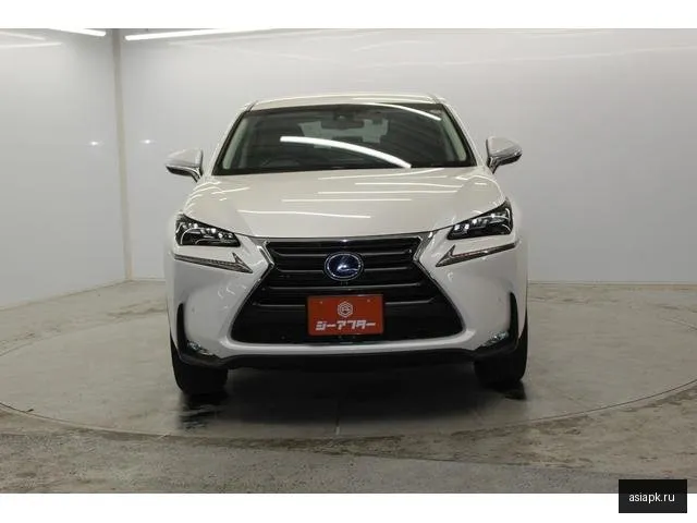 Lexus NX300h 4