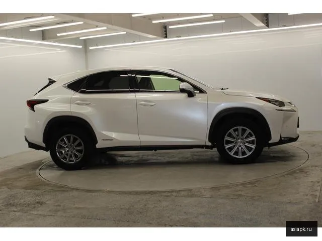Lexus NX300h 6