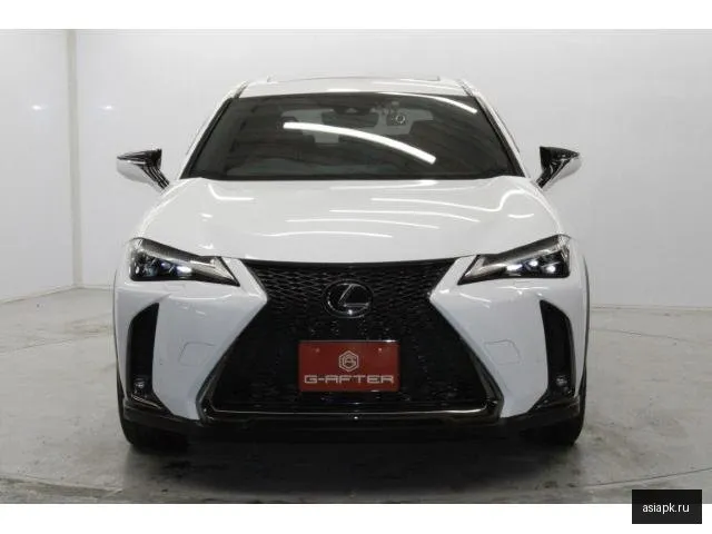 Lexus UX250h 5